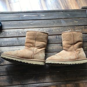 Chestnut Uggs